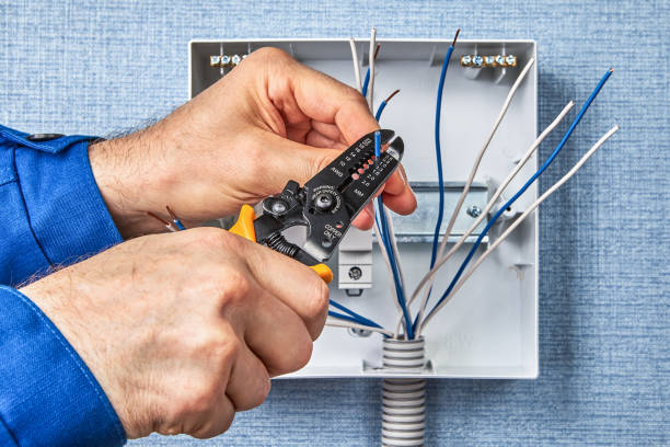 Best Electrical Panel Upgrades  in Ruckersville, VA